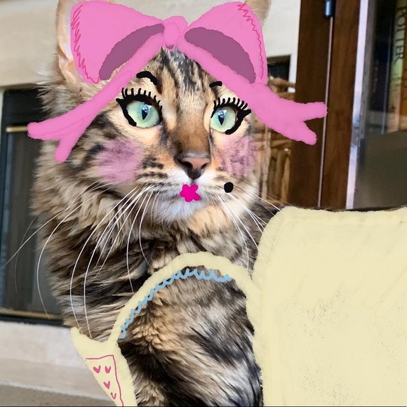 Meet your Posher, Jordan - Picture 1 of 2